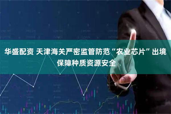华盛配资 天津海关严密监管防范“农业芯片”出境 保障种质资源安全