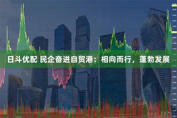 日斗优配 民企奋进自贸港：相向而行，蓬勃发展