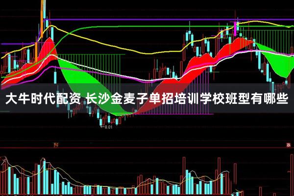 大牛时代配资 长沙金麦子单招培训学校班型有哪些