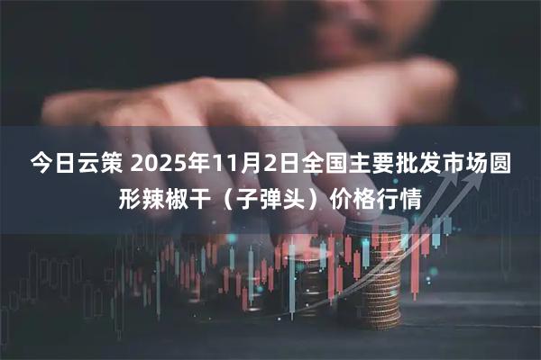 今日云策 2025年11月2日全国主要批发市场圆形辣椒干（子弹头）价格行情