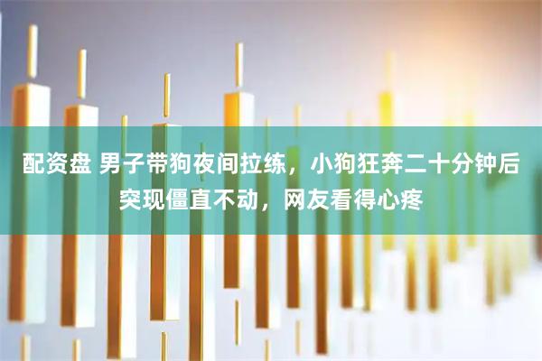 配资盘 男子带狗夜间拉练，小狗狂奔二十分钟后突现僵直不动，网友看得心疼