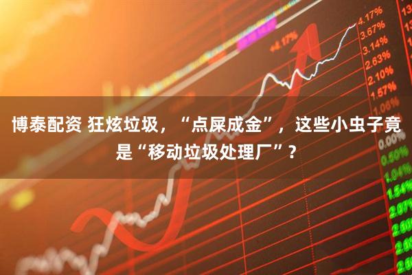 博泰配资 狂炫垃圾,“点屎成金”,这些小虫子竟是“移动垃圾处理厂”?