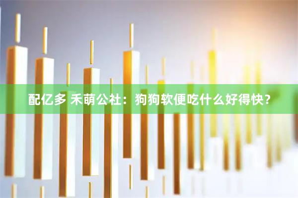 配亿多 禾萌公社：狗狗软便吃什么好得快？